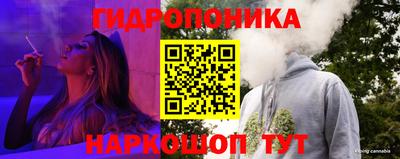 мяу мяу мука Лесосибирск
