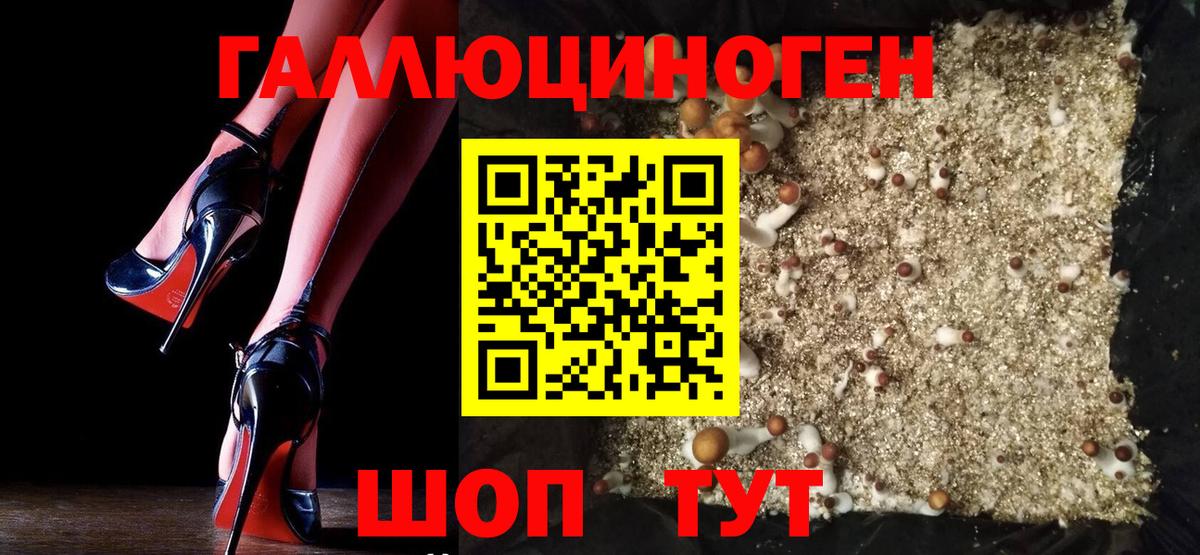 Галлюциногенные грибы Cubensis Димитровград