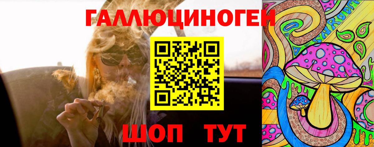 Димитровград  Псилоцибиновые грибы MAGIC MUSHROOMS  Вход с VPN 