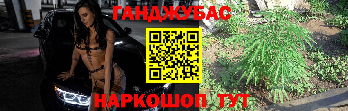 НБОМе Димитровград